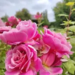 Ferienhaus Le Jardin Des Lacs Nature Et *