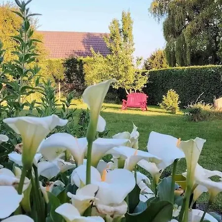 Le Jardin Des Lacs Nature Et Holiday home Ardres