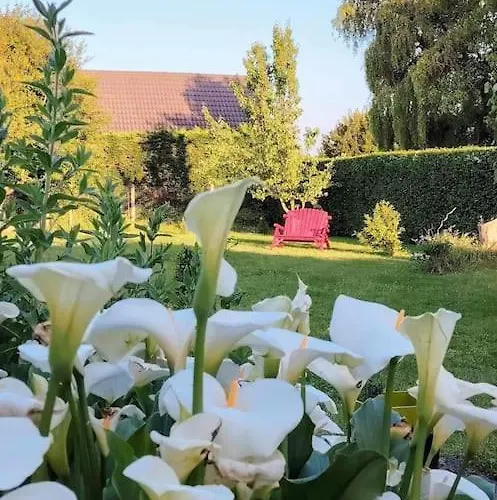 Le Jardin Des Lacs Nature Et Hébergement de vacances Ardres